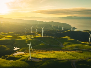 Collection of wind turbines on rolling hillside