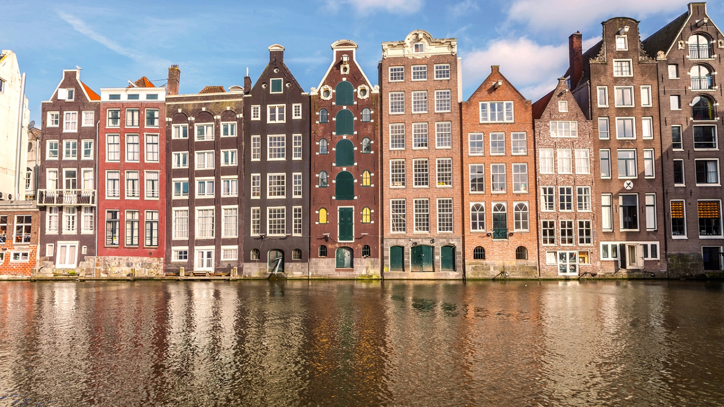 PPB_NL image