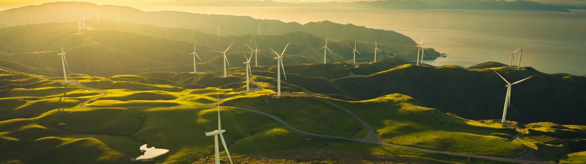Collection of wind turbines on rolling hillside