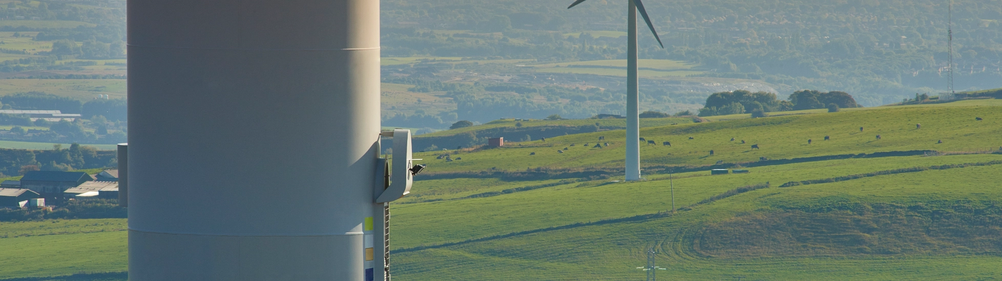 Solar farm workers in a field