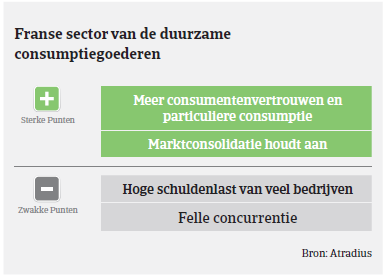 (Image) (NL) sector MM consumptiegoederen Frankrijk 2018
